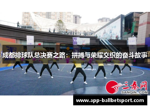 成都排球队总决赛之路：拼搏与荣耀交织的奋斗故事