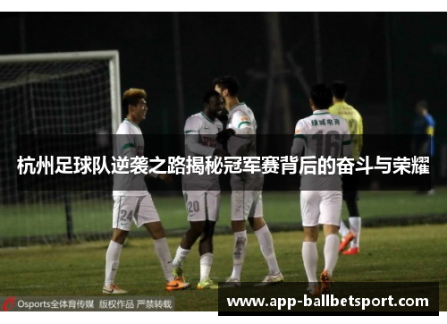 杭州足球队逆袭之路揭秘冠军赛背后的奋斗与荣耀