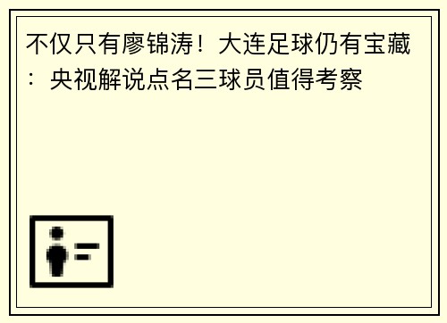 不仅只有廖锦涛！大连足球仍有宝藏：央视解说点名三球员值得考察